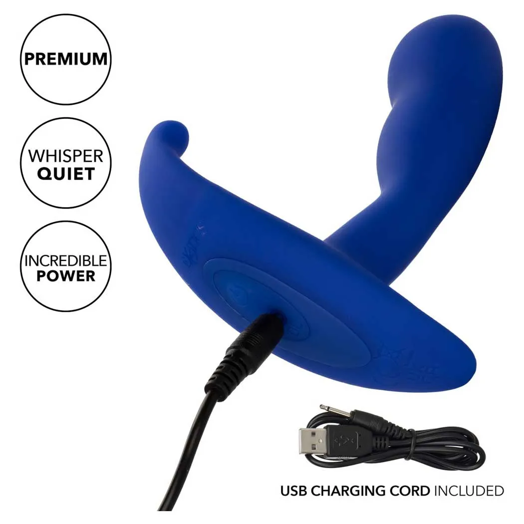 Admiral™ Advanced Curved Probe