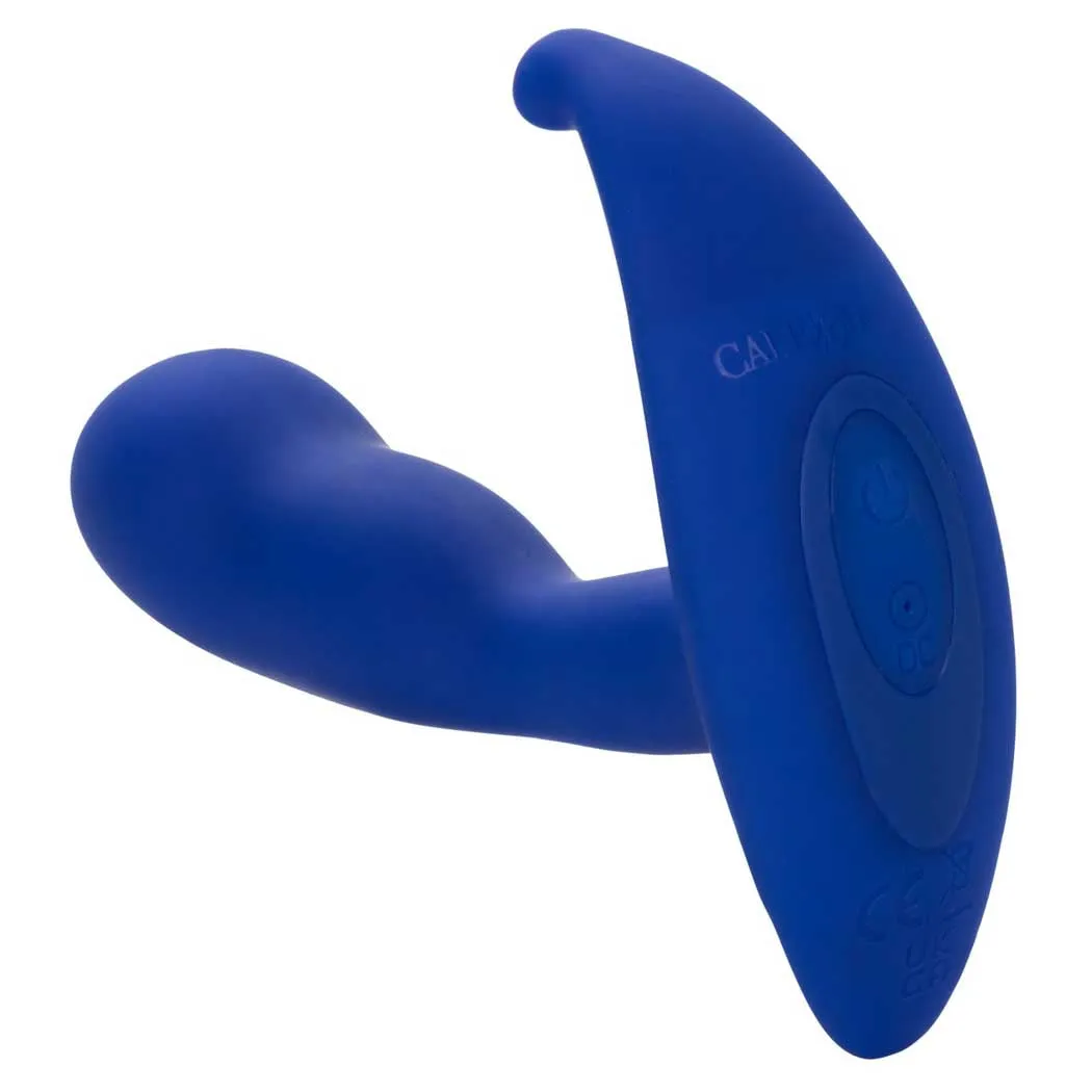 Admiral™ Advanced Curved Probe