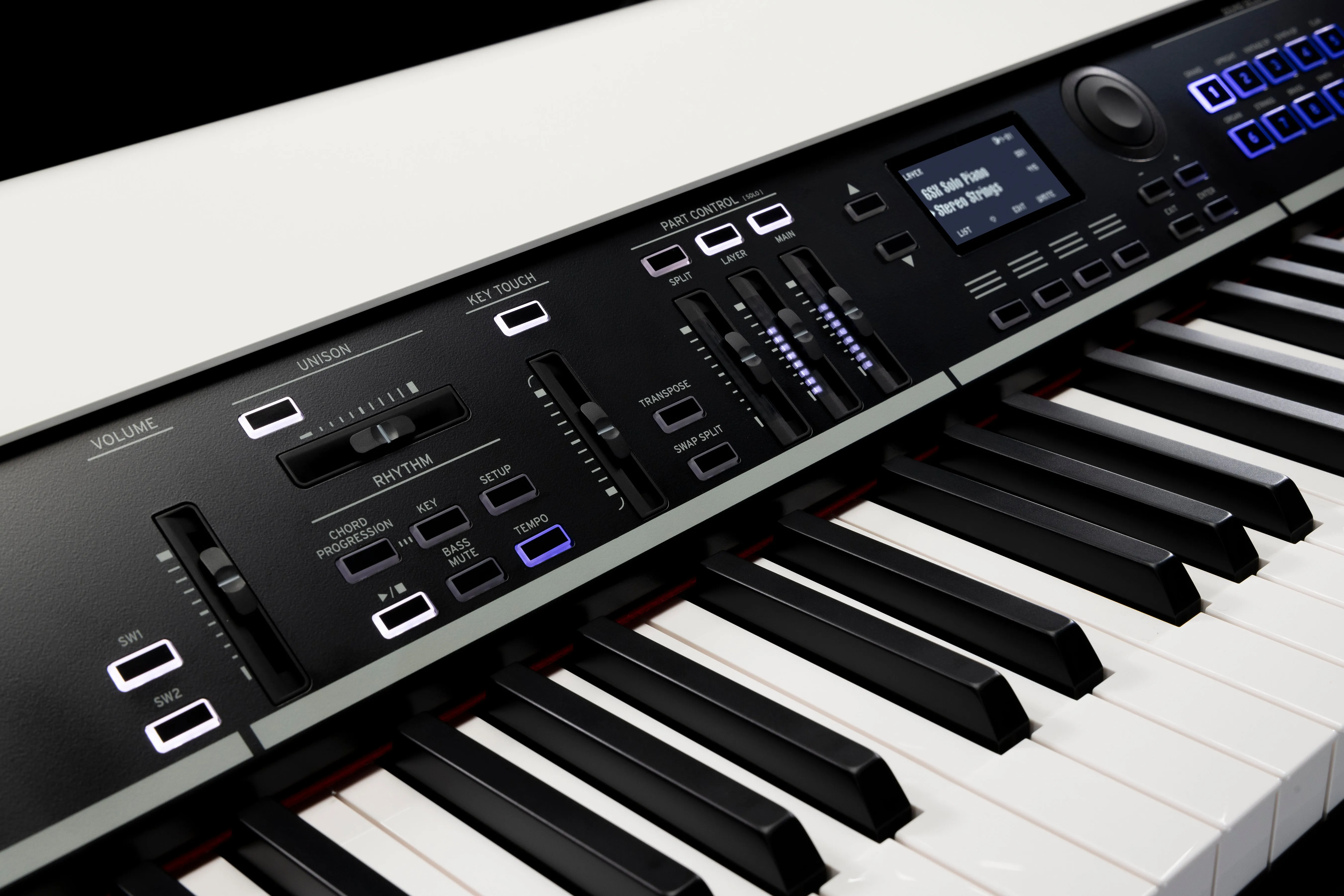 Korg GRANDSTAGE X Pro 88-Key Stage Piano